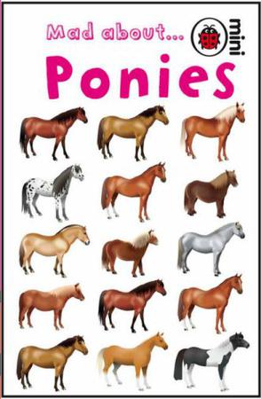 Mad About Ponies 小瓢虫书系-让人着迷的小马