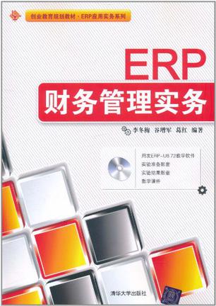 ERP财务管理实务