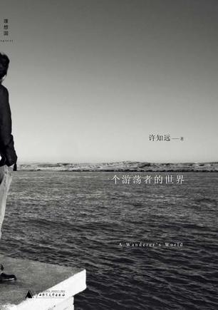 Book Cover: 一个游荡者的世界