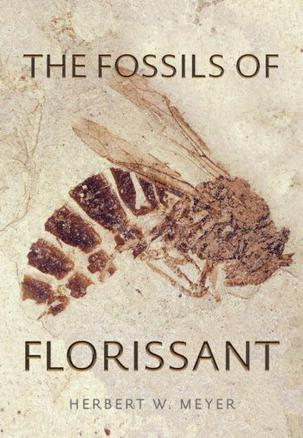 The Fossils Of Florissant