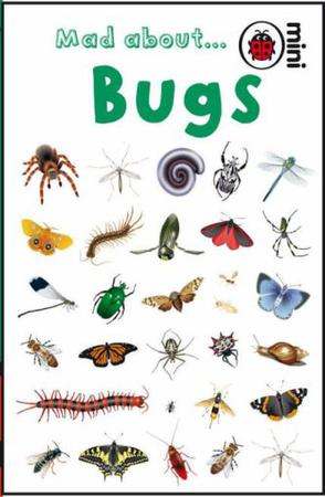 Mad About Bugs 小瓢虫书系-让人着迷的虫子