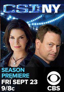 犯罪现场调查：纽约 第八季 CSI: NY Season 8