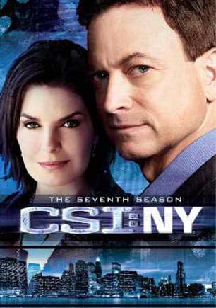 犯罪现场调查：纽约 第七季 CSI: NY Season 7