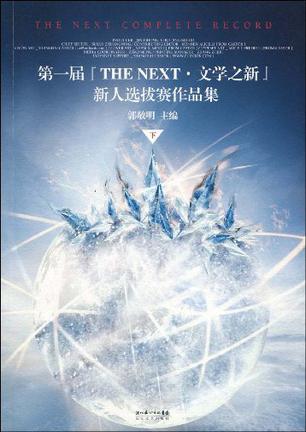 第一届“THE NEXT·文学之新”新人选拔赛作品集（下）