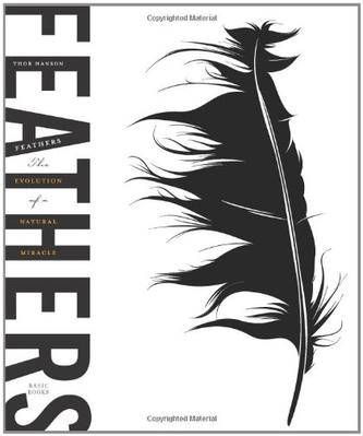 Feathers