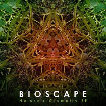 Bioscape Nature's Geometry EP Bioscape Nature's Geometry EP