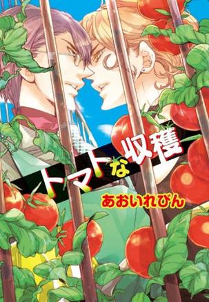 トマトな収穫
