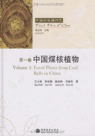 中国煤核植物-中国化石植物志-第一卷