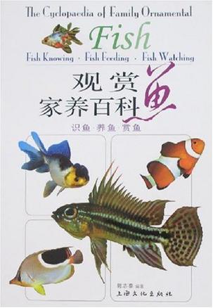 观赏鱼家养百科