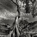 Ancient Trees