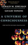 A Universe Of Consciousness