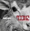 SHEEP SHEEP