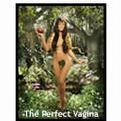 完美阴道 The Perfect Vagina