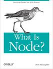 What Is Node