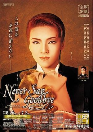 NEVER SAY GOODBYE 的封面图片