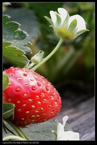 c75980f028640b4.jpg