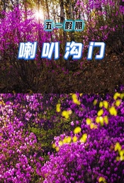 五一1日休闲户外 |【喇叭沟门】赏高山杜鹃花-踏青赏花