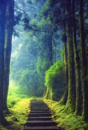 活动封面-心灵魔术聚会，让你亲自感受读心术的神奇派对！！！