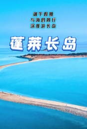 端午假期：与海鸥同行-深度游蓬莱长岛
