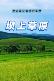 活动封面-周末2天 |【坝上草原】距离北京最近的草原-神仙谷七彩森林-闪电湖