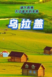端午假期:乌拉盖-天边最美的草原休闲游玩