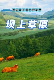 活动封面-周末 |【坝上草原】丰宁坝上-珠库伦淖尔湖-神仙谷·七彩森