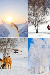 热门活动-周末2.5日｜乌兰布统•塞北雪乡-越野车穿越林海雪原