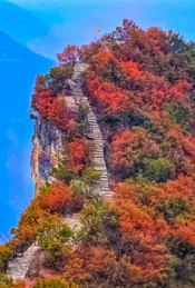 推荐活动-周末2日【三峡红叶】红叶醉三峡