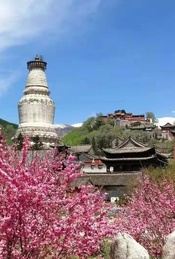 热门活动-【星七嗨行】徒步五台山 |  转山、转水、转佛塔-全程约50公里