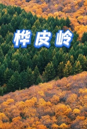 周末 |【桦皮岭】草原天路桦皮岭9公里徒步-走进坝上金秋油画布