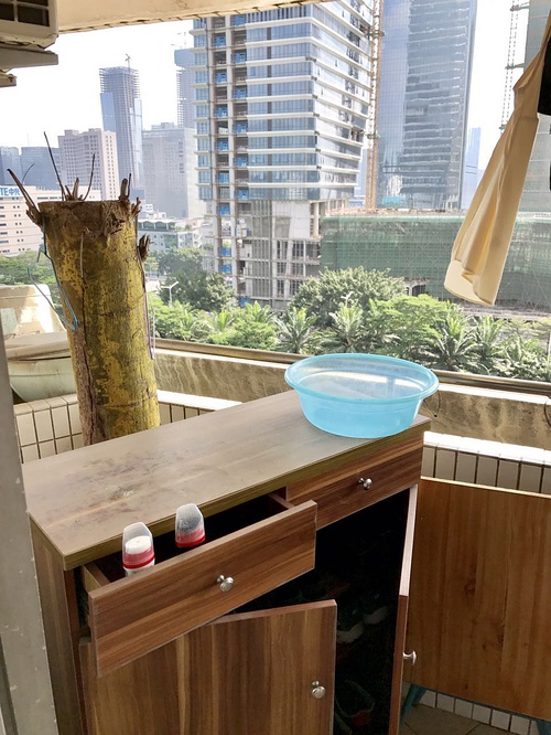 对面就是科技园南区。