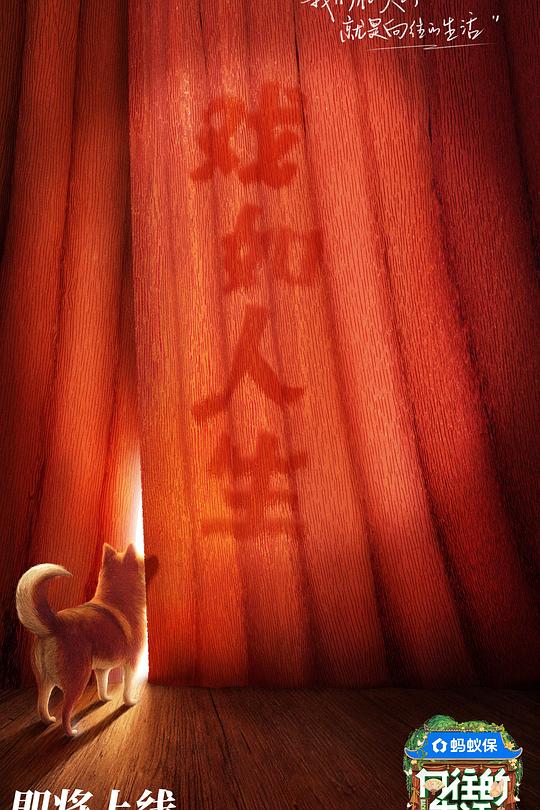 向往的生活 第八季