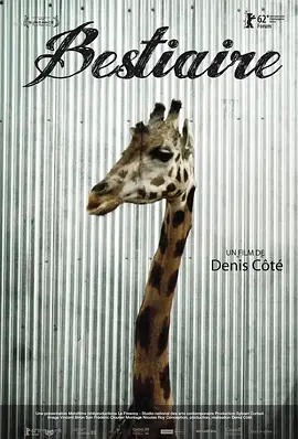 静观百兽封面图