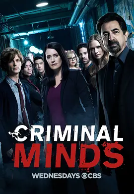 犯罪心理第十三季CriminalMindsSeason13(2017)