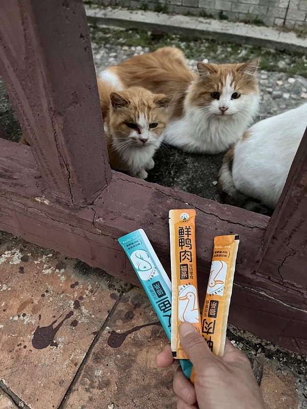 天猫超市麦富迪流浪猫粮最低可以做到40r左右10kg（需88vip），现在部分地区可能10kg的没有货了 - 线报酷