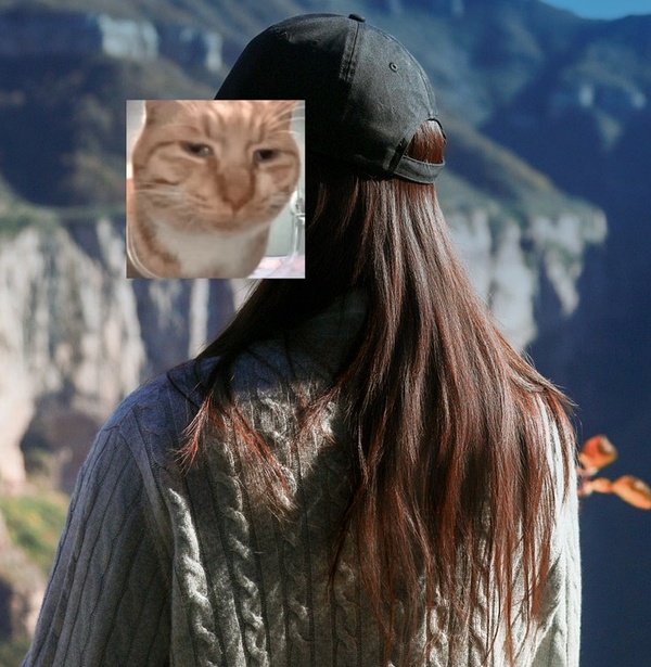 施华寇染发不到22 - 线报酷